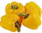 CARMEN SWEET PEPPER HYBRID 75 85 days For sweet peppers that taste wonderful raw or roasted, plant Carmen.