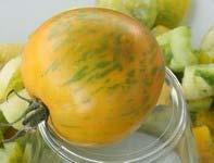 The 2-inch round fruit ripens to a yellow-gold with dark-green zebra-like stripes.