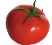 Deep pink tomatoes weigh 12 to 16oz and are mostly smooth with very little cracking. Potato-leaved plants are vigorous and give good yields of these juicy delicious tomatoes.