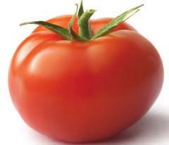 Beefsteak tomato has vigorous indeterminate vines that will need to be staked to hold the HUGE 10 to 32oz tomatoes. Even though the fruits are so large, Beefsteak is still an abundant producer.