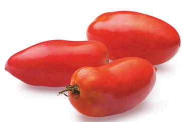 A large beefsteak type tomato, and a long old time favorite with good sweet flavor and low acid.