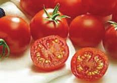 This is deliciously sweet and very decorative tomato. RED GRAPE 70 days Indeterminate.