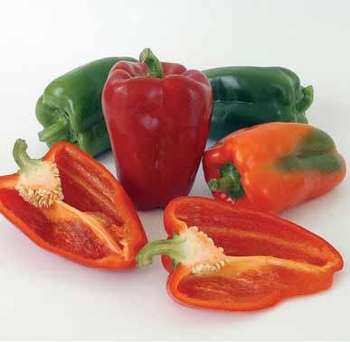 SWEET PEPPER Variety: Ace Days to Maturity: 55 Spacing: 12 18 Turns red