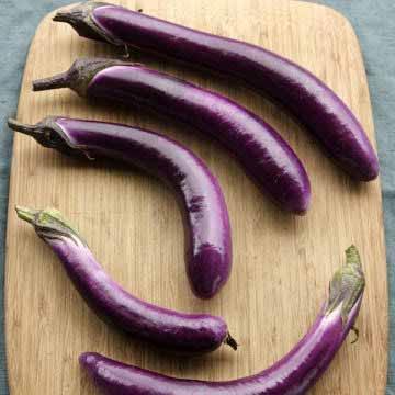 EGGPLANT (Asian) Variety: Ping Tung Days to Maturity: 70 Spacing: