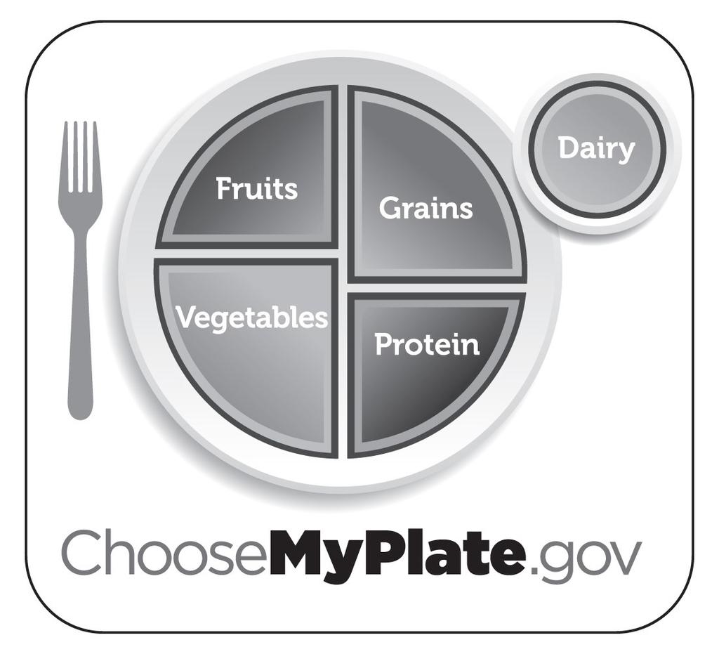 MyPlate, approved by the USDA, is a visual way to encourage families to eat healthier.