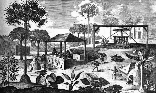 Borderlands and Middle Grounds Masters and Slaves in the Caribbean Slave Revolts Unstable Societies
