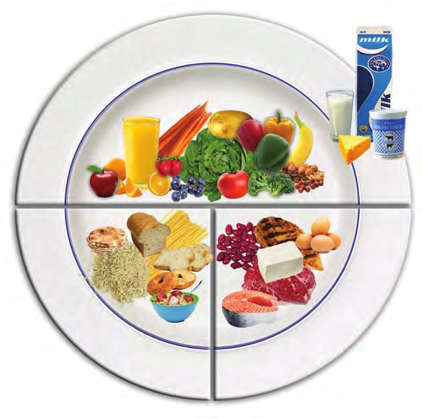 Step 2 Make a plan for your meals using Canada s Food Guide and use your plan to guide your shopping.