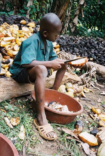 Core Discussion: Child Labor in Cocoa Fields 2 million children working in cocoa fields Hazardous conditions include: Unsafe pesticides and fertilizers Using sharp tools, machetes Sustain
