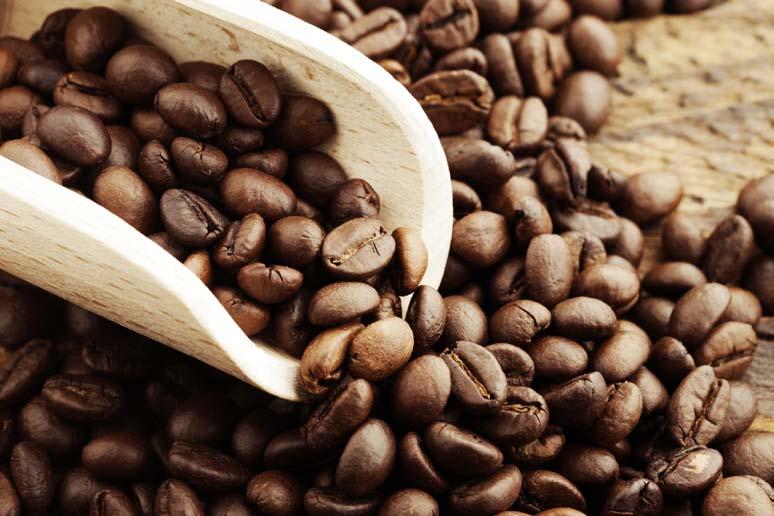 TIMOR LESTE ERME -Зүүн Тиморын кофе нь шавьжны хор болон бордоо гэх мэт зүйлсийг хэрэглэдэггүй өтгөн зөөлөн амттай органик кофе юм. 4.