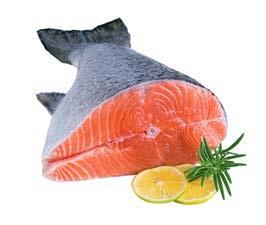 Salmon Salmon is an easy protein to digest, easy to prepare, and highly nutritious. Wild Atlantic salmon is best; it s high in omega-3 fatty acids.