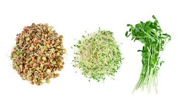 Sprouts Sprouts are rich in enzymes, vitamins, and amino acids. There are many varieties to try: alfalfa, broccoli, clover, radish, and more.