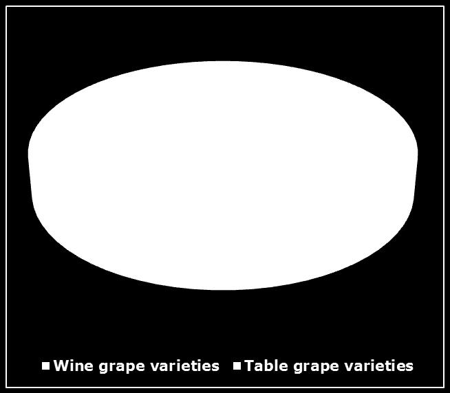 SECTOR DATA STRUCTURE OF VINEYARDS (wine grape and table grape varieties) STRUCTURE