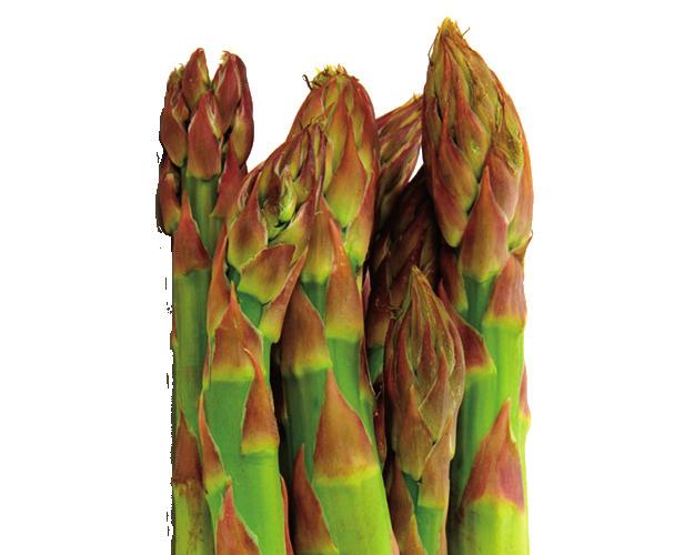 A S PA R A G U S Choose firm, closed stalks with green to purplish tips. Add to salads, pasta dishes, and stir fry or eat cold with a dip. Stems should be smooth and even in color.