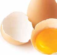 welcome to eggs for action! 2 What you eat and when you eat are important considerations when it comes to sports performance.