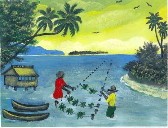 Seaweed Farming in Solomon Islands: