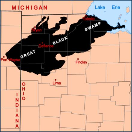 Great Black Swamp in N.W. Ohio Malaria was endemic in the area until the swamp was drained in 1876.