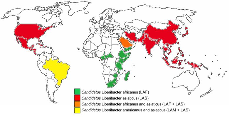 Figure 1. Countries where bacteria associated with huanglongbing/citrus greening are established. The distribution of the disease in these countries may be localized. trient deficiency.