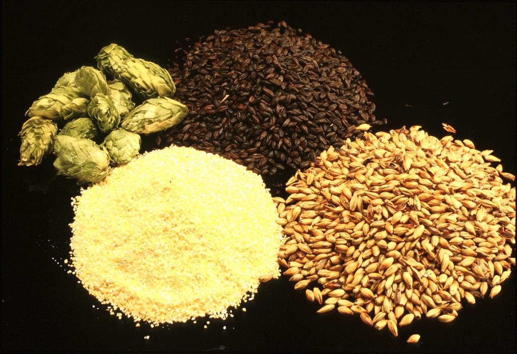 Ingredients Malted barley Cereal Adjunct Hops Water Kindly
