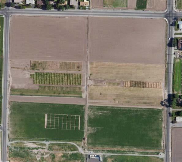 Greenville Utah Agriculture Experiment