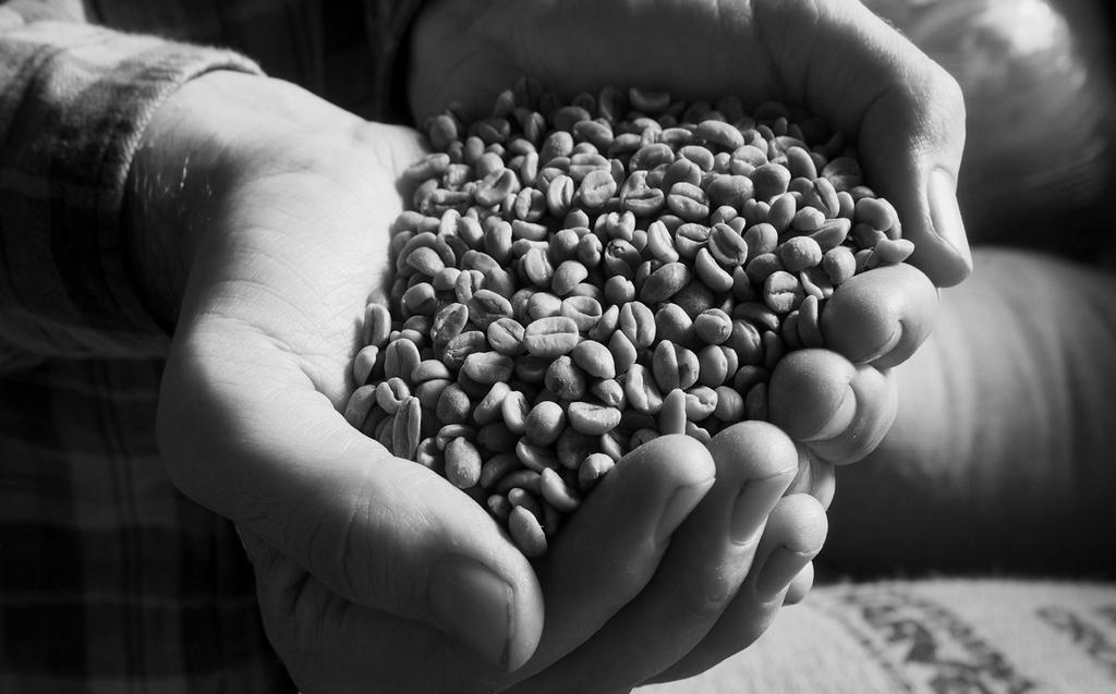 Our single origin coffees are carefully chosen for their unique, high quality characteristics. We offer five different blends including our house blend, Ultimate.