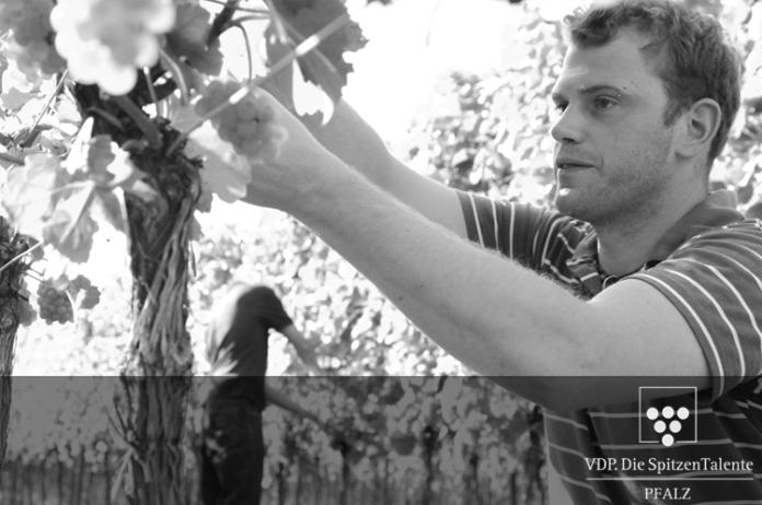 We pursue a clear line in all areas and keep the naturalness of the fruit in ever. At each stage we can identify and assess the quality of the wines.