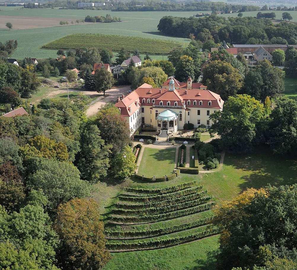 SACHSEN Historical outline of the saxon wine growing area: Within the history of German viniculture, the Saxon wine growing area is one of the youngest and with its 450 ha is the smallest wine