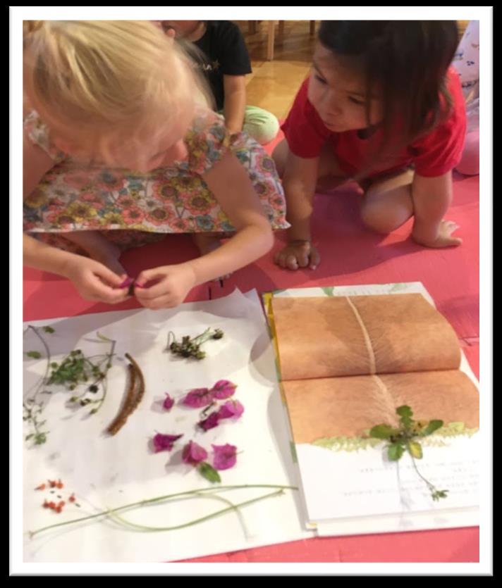 After listening to the story, Nuuji and Kafuu classes had the opportunity to participate in a sensory experience related to what they learned from the book.