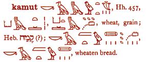 The origin of the word Kamut In ancient Egyptian, Kamut means wheat.