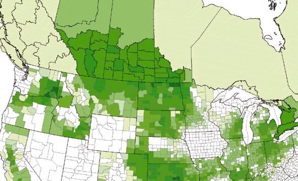 The darker green areas