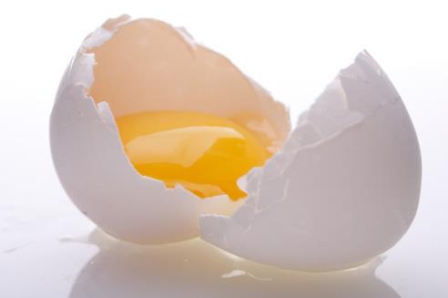 EGG ALLERGY One of the commonest food allergies in children 1.