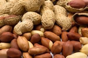 BASIC FACTS OF PEANUT ALLERGY 95% develop symptoms within 20 minutes Up to 2 hours Usually react after eating peanut protein Objective symptoms 2mg Typical peanut 200mg Almost all