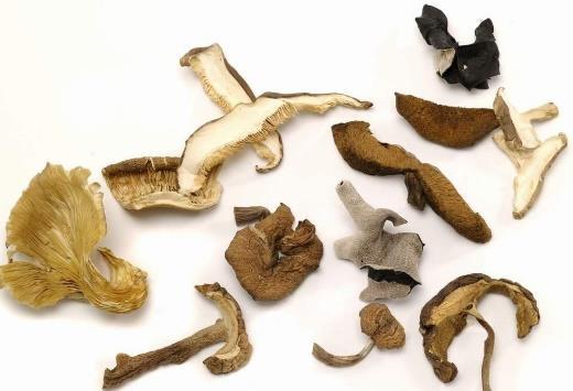 Dried Mushrooms Dried Mushrooms in bulk All our mushrooms are available for bulk order and packed in 7 to 15kg boxes: Original unprocessed mushrooms, Or sorted, desinsected, sanitazed and
