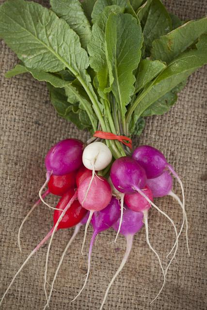 Easter Egg Radish Easter Egg radishes are a mix of pink, white, purple and red variety radishes. The roots of the Easter Egg radish are small and round the part we eat!