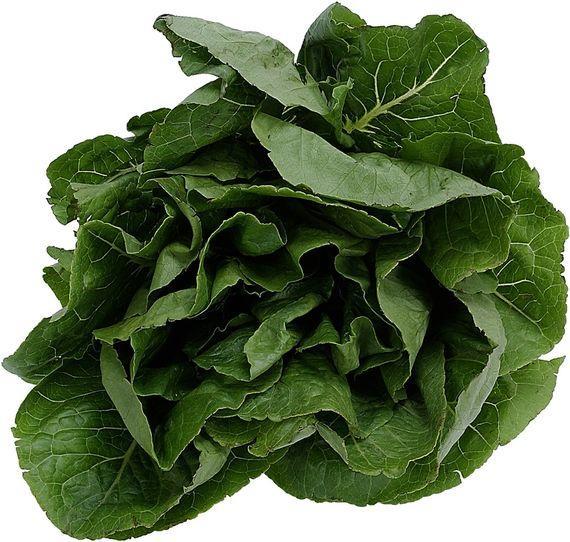 Spinach Spinach is thought to have originated in ancient Persia (which includes modern Iran). Arab traders carried spinach into India, and then the plant was introduced into ancient China.