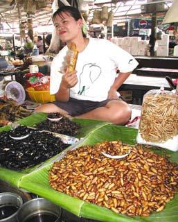 Insect orders consumed in Thailand Thailand Insects on sale in the market Odonata (damselflies and dragon flies) Orthoptera (crickets, grasshoppers, katydids) Mantodea (mantids)