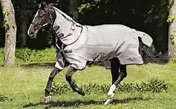 The Rambo Fly Buster is a great option for the horse owner looking to provide the ultimate fly armour for their horse in the summer.