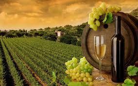 (4) Leverage up value of Romania and Moldova in Japan through activities above. (5) Make Wine Industry of RMJ global. 2.