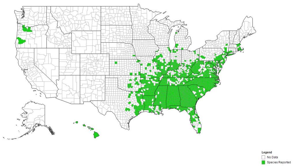 Figure 1. Distribution map of kudzu in the United States (www.eddmaps.org), 2016. (Eviner et al., 2012).