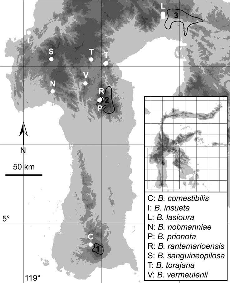 NINE NEW SPECIES OF BEGONIA FROM SULAWESI 227 F IG. 1. Distribution map. Collections are indicated by white dots (single dots can indicate multiple collections from the same or nearby localities).