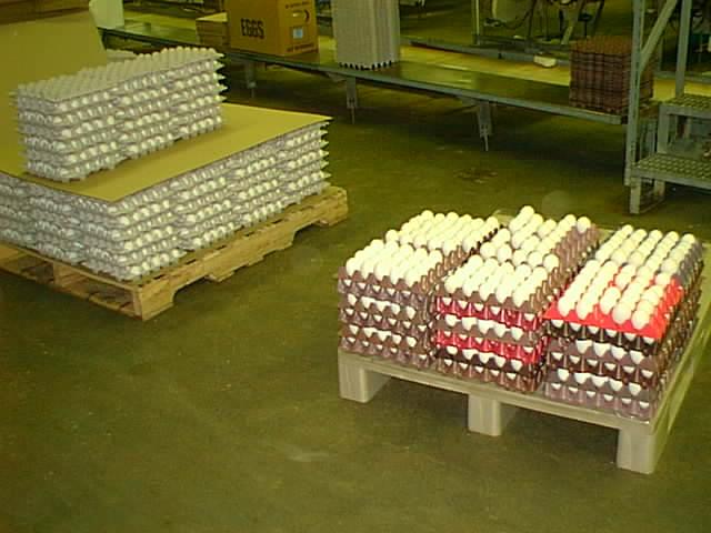 On the left, eggs are stacked in cardboard flats for shipment to the retail market.