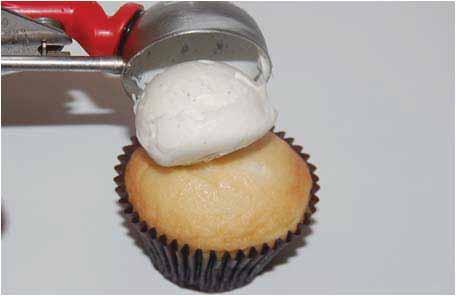 KEY AREAS OF OPPORTUNITY The information below pertains to all Cupcake varieties The