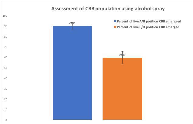 % Assessment of CBB population using alcohol spray 100 90 80 70 60 50 40 30 20 90.04 % of live A/B position CBB emerged % of live C/D position CBB emerged 59.