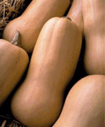 Winter Squash Volume 1, Issue 7 http://panen.org pa_nen@phmc.org (717) 233-1791 What s So Great about Winter Squash? What is beta-carotene?