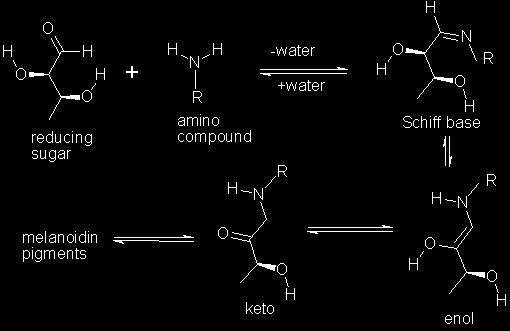 Browning reaction involving an amino acid and a sugar + heat Produces flavor compounds (melanoidins and