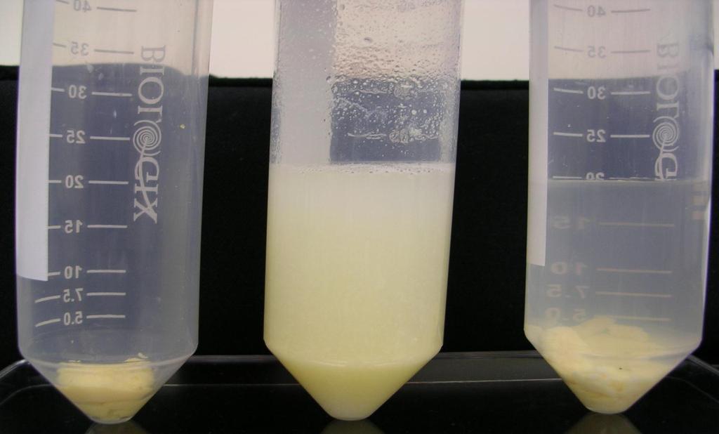 Solubilization process Homogenized boiled egg Before centrifugation Solubilization After centrifugation Insoluble
