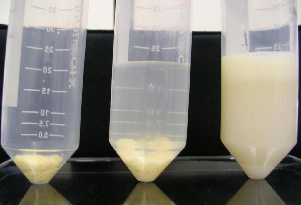 Improvement of solubilization After centrifugation Homogenized boiled egg Conventional