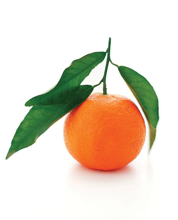 20 17 FLAVOR INSIGHT REPORT TANGERINE By the Numbers Tangerine is adding a little sunshine to a host of products and recipes, and it s no wonder.