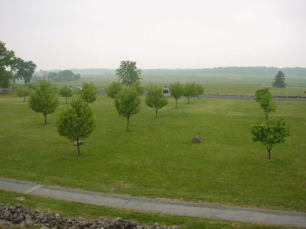 Copse of Trees Path of Pickett s Charge