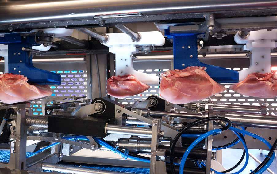 WHITE MEAT DEBONING SYSTEMS small footprint.