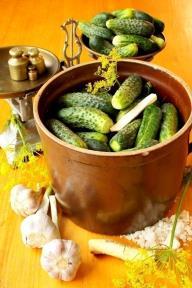 For each gallon of cucumbers Prepare cucumbers Place half of spices in bottom of container Add cucumbers and top with remaining